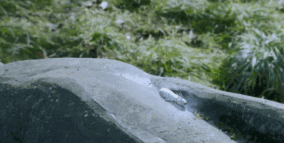 新版笑傲江湖，你確定自己是金庸寫出來的嗎？