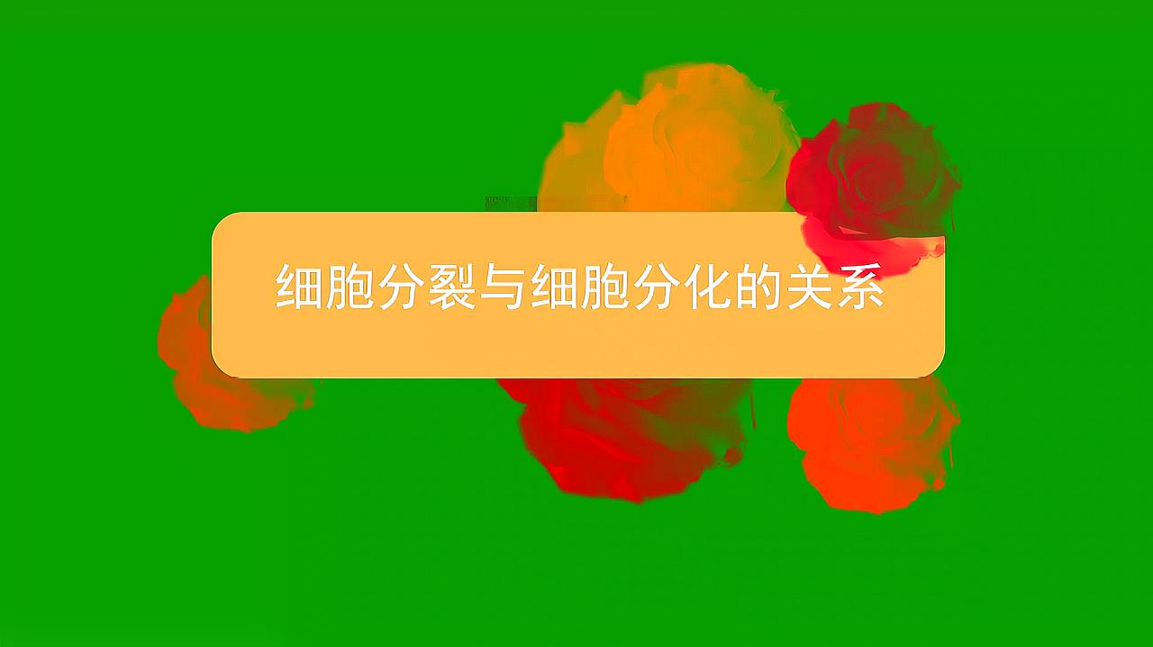 [图]细胞分裂与细胞分化的关系