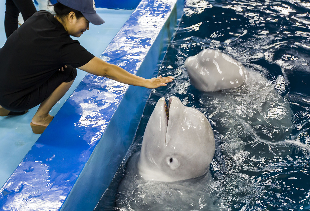 小鱼的日常：高中生群聊日常