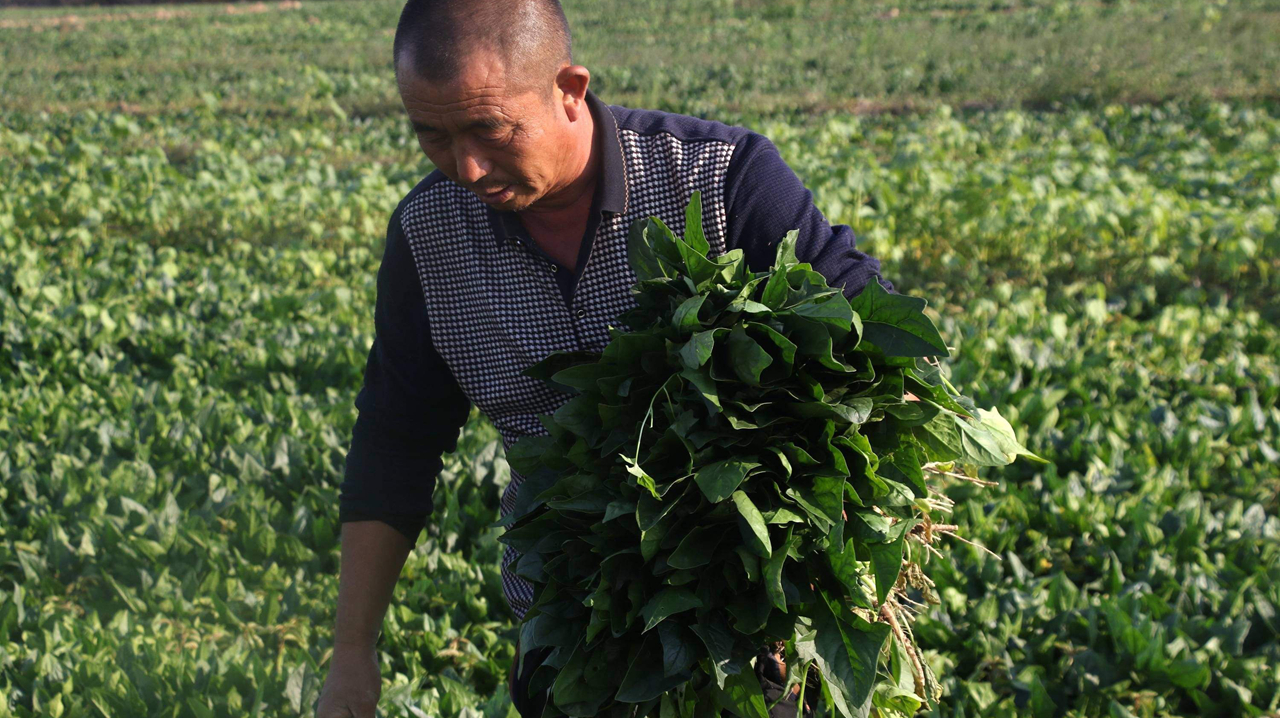女性不想变黄脸婆,要坚持吃这种食物,美容养颜,延缓衰老