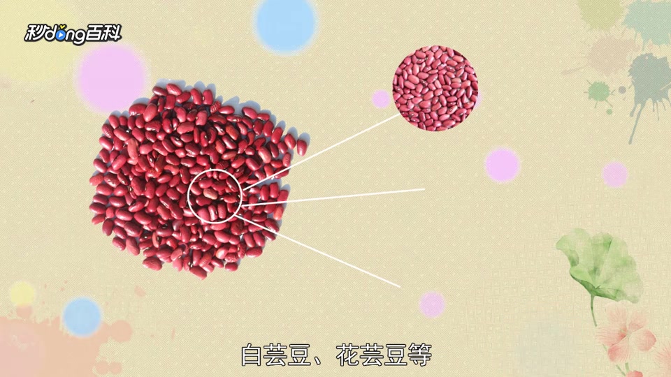 原来红芸豆长这样