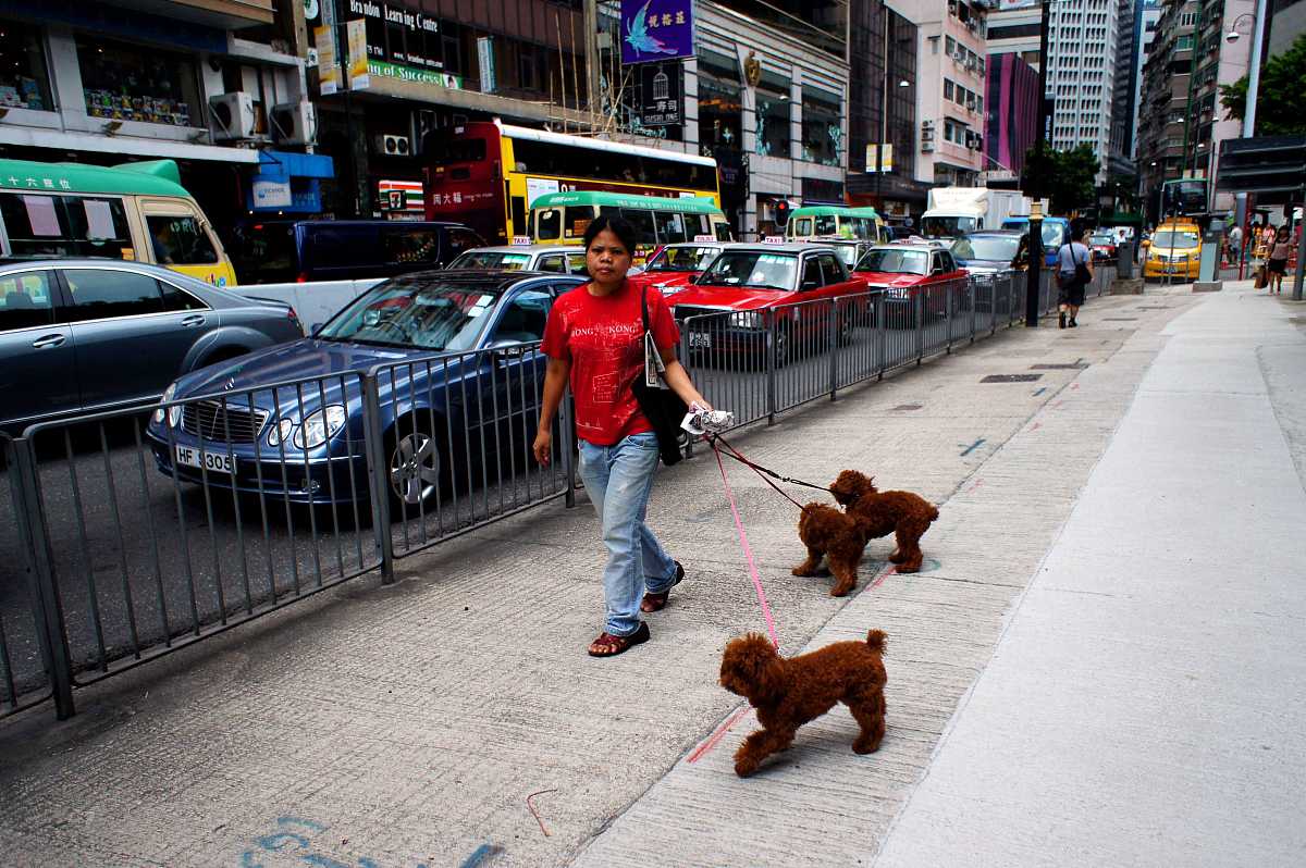 武汉航道学校地址、交通路线 - 如何前往？