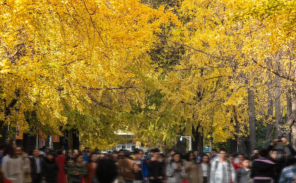 成都计算机专业学校推荐：2022年热门院校盘点