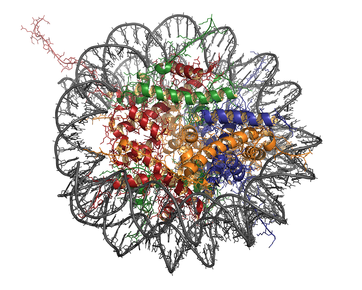 VIROLOGY期刊研究范围：权威病毒学研究平台