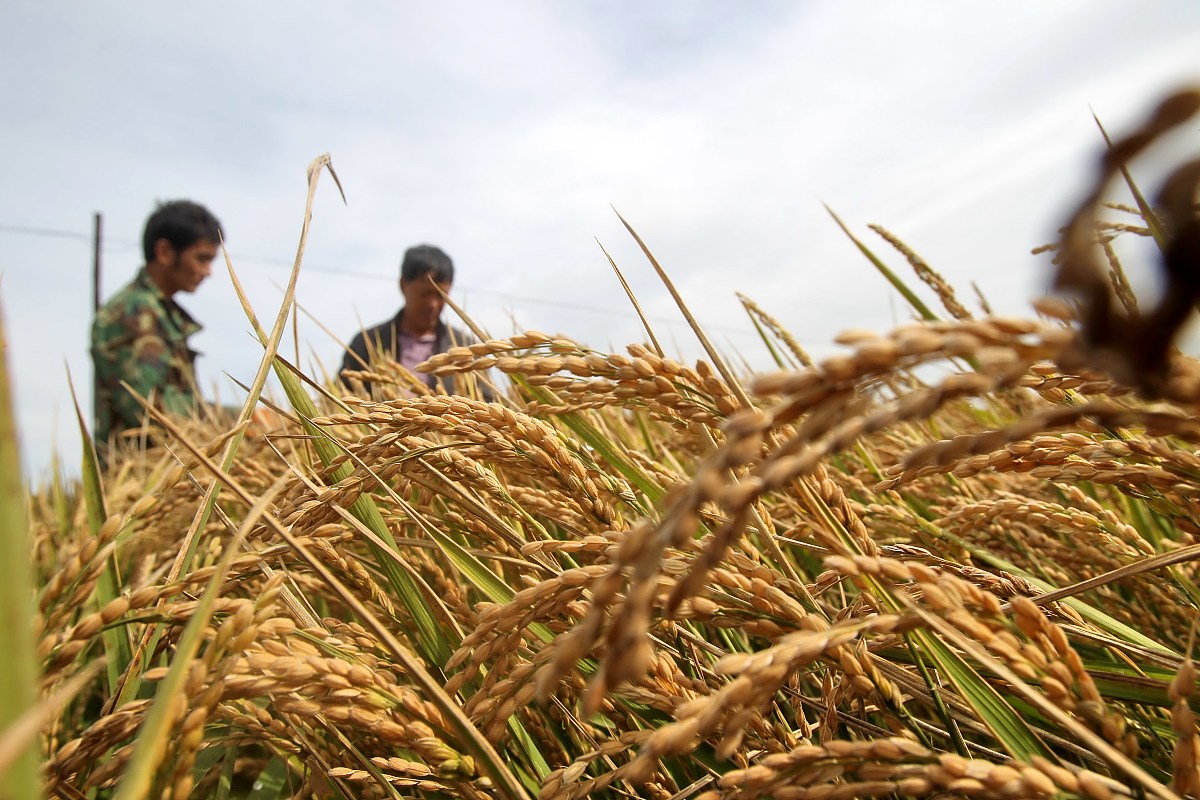 吉林农业工程是冷门专业吗 就业方向及前景怎么样