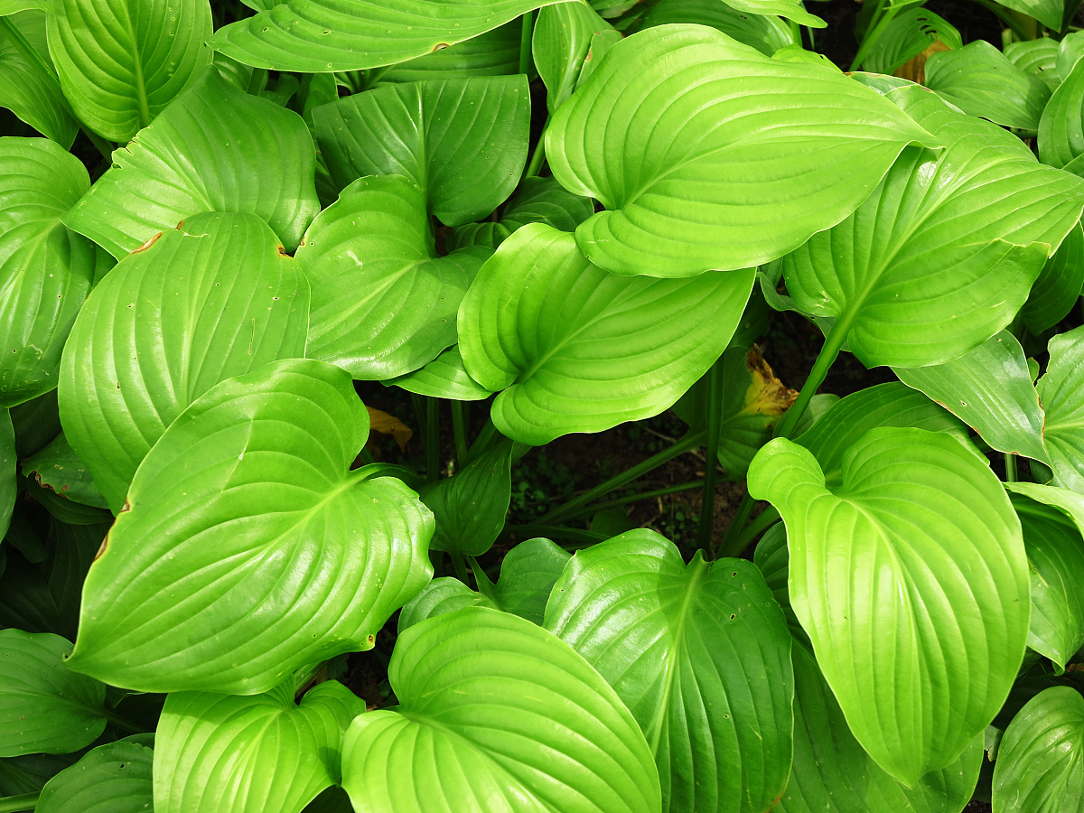 修仙界暧昧场景：灵气与感情交织的浪漫之旅
