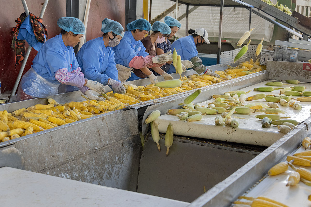 玉溪农业职业技术学院农畜特产品加工专业怎么样