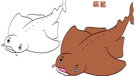 简笔画大全,扁鲨