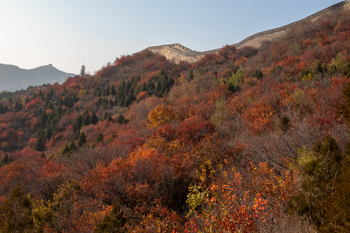 长命百岁数字怎么代替，