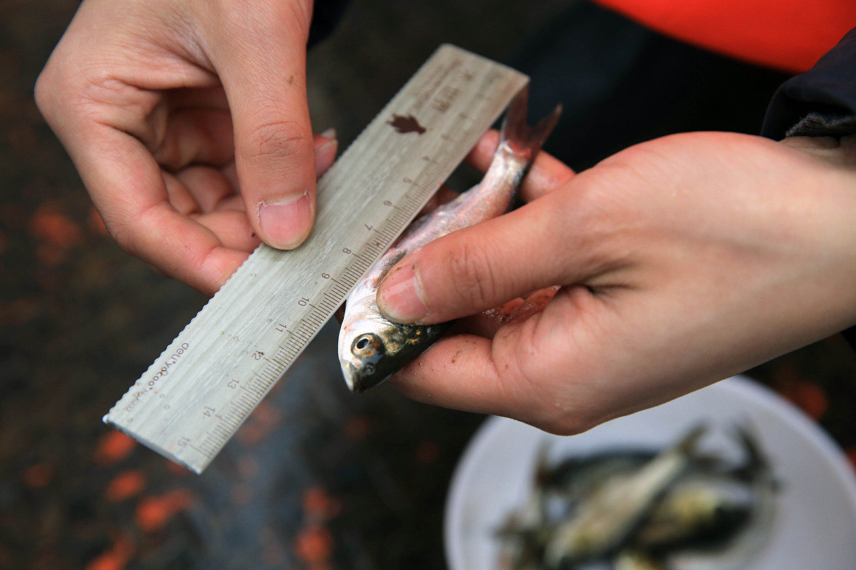 假如有1-49个数字随机抽7取个数字出来请问随机到1、13、25、37、49其中一个数字的概率多大