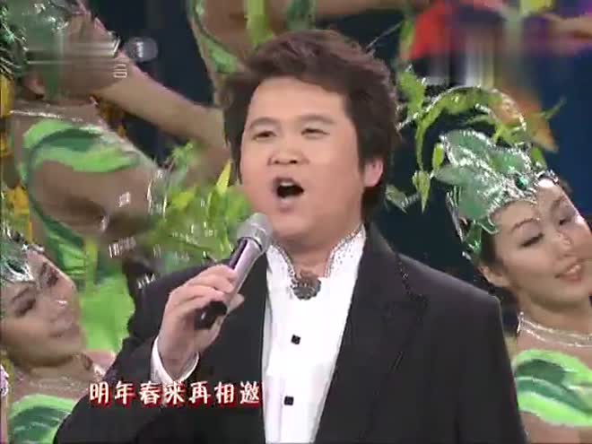 [图]歌曲《难忘今宵》演唱:李谷一、王莉、张大伟、张妮、薛皓垠 2011年央视春晚字幕版