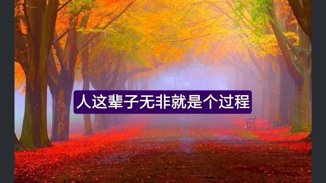 [图]人这辈子无非就是个过程