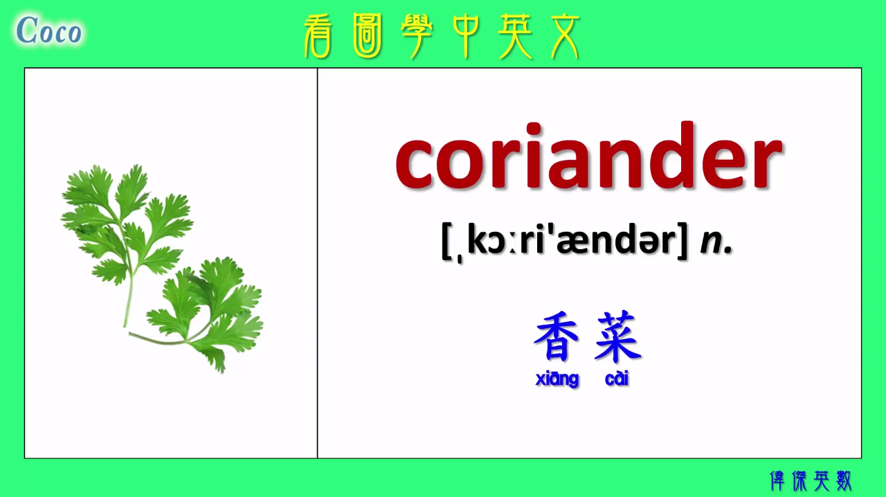 看图学中英翻译英语单词,蔬菜类单词学习,孩子喜欢的学习方法