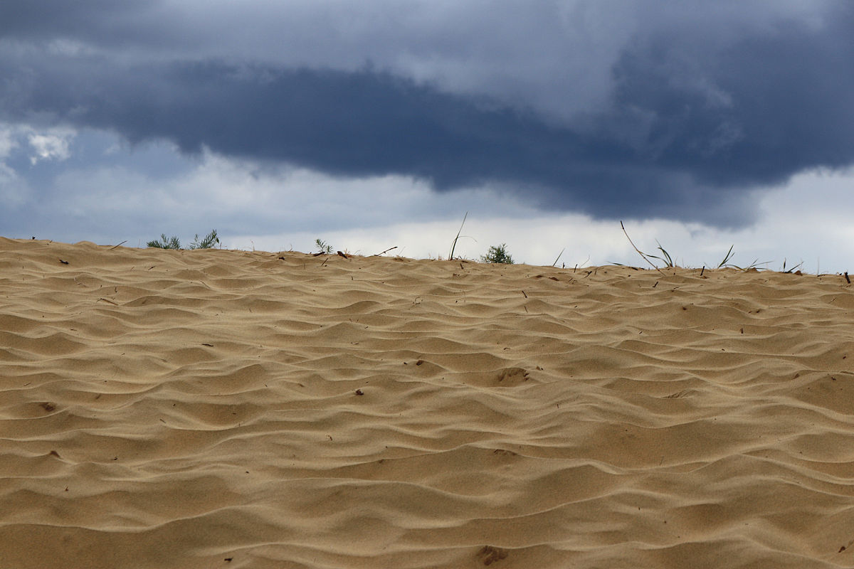 四川开设有旅游服务与管理酒店管理方向专业的学校有哪些