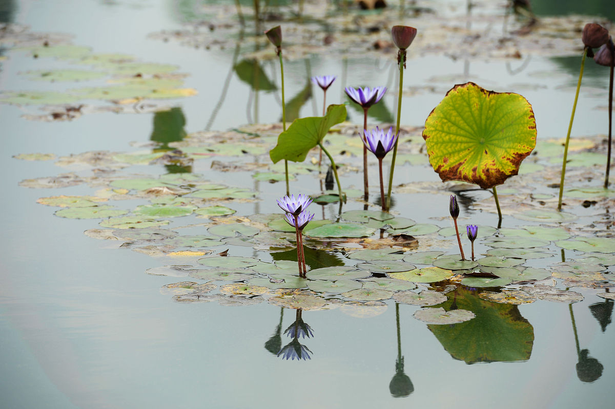 四川大学职业技术学院工程造价专业就业前途大不大
