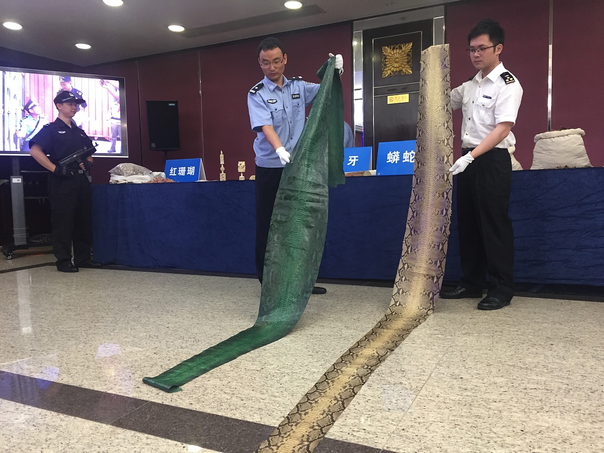 海关进境货物查验数据：风险评估的关键因素