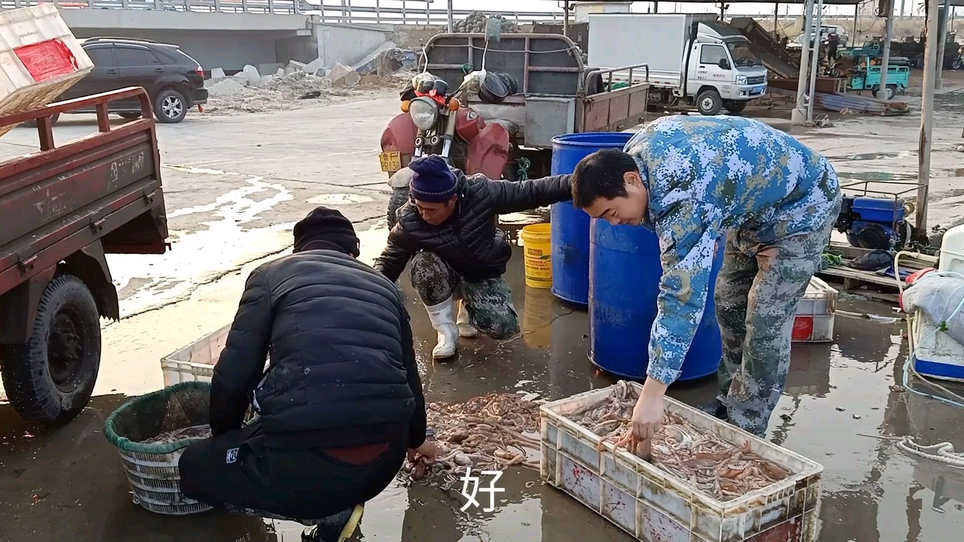 老三:工地活干完了,下个早班,来到海边发现渔民在分捡海鲜