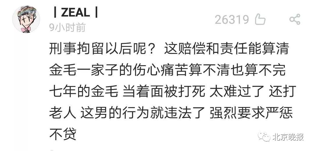 令人震惊!打死金毛犬被刑拘什么情况?详情始末曝光什么怨竟下此狠手