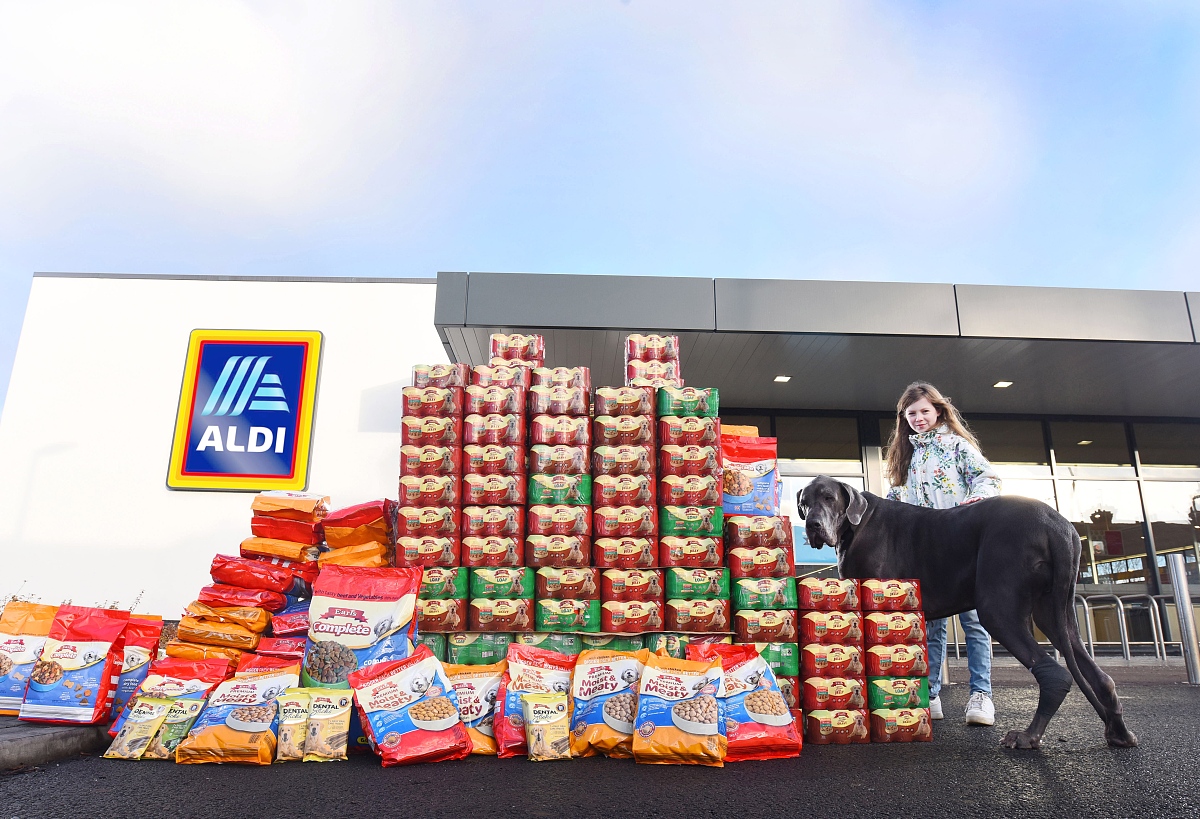 狗宝宝狗粮质量怎么样回答+拓展