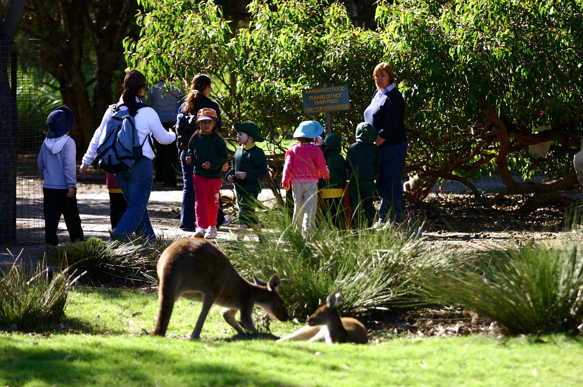 食品科学：以人为本，人与自然和谐发展的体现