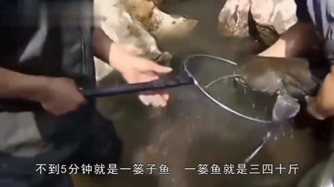 湖北神秘“流鱼洞”一天流出5000斤鱼,专家查看后立马禁止捕鱼