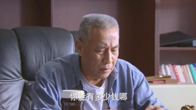 [图]十年:岳父破产,农村女婿掏出一张卡,岳父嘲笑:你能有多少钱