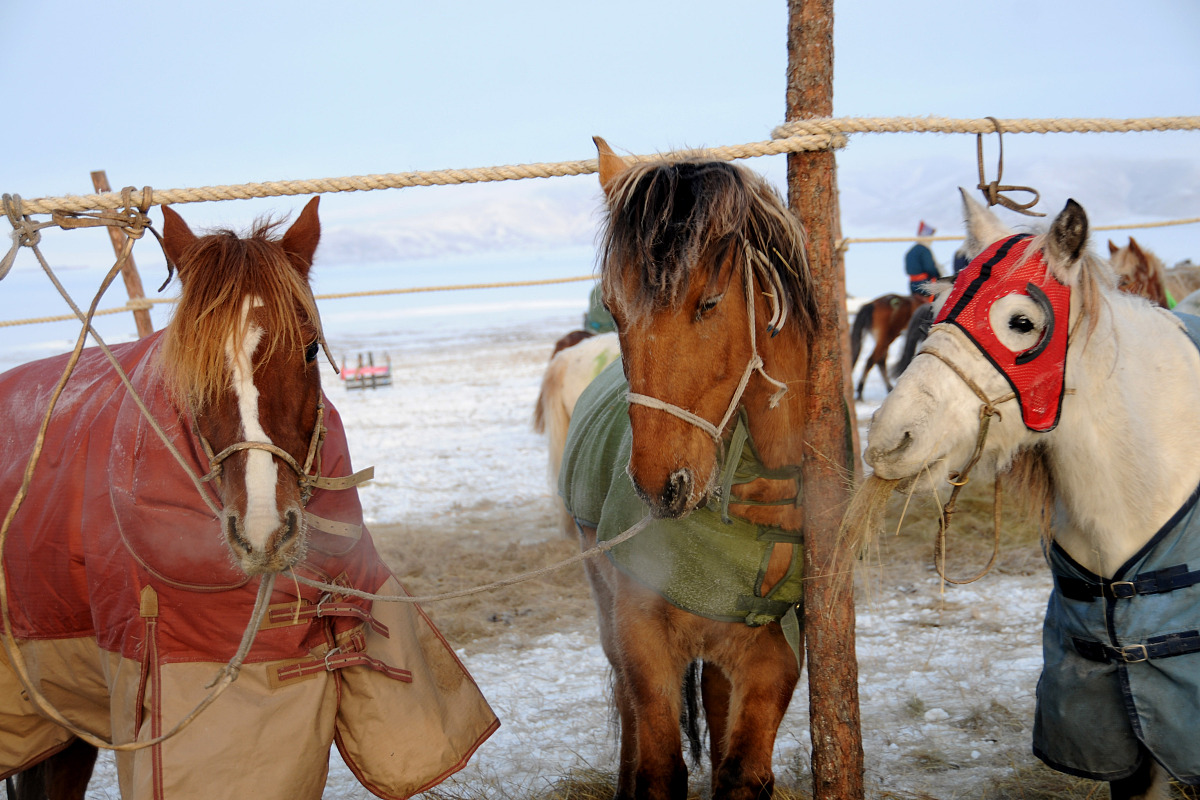 2022年迪庆州民族中等专业学校旅游服务与管理专业招生