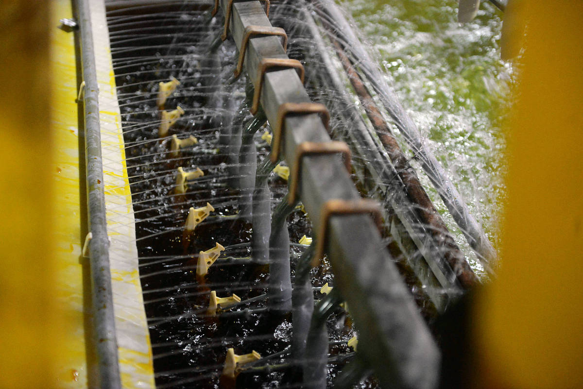 表面精饰工艺专科课程有哪些？