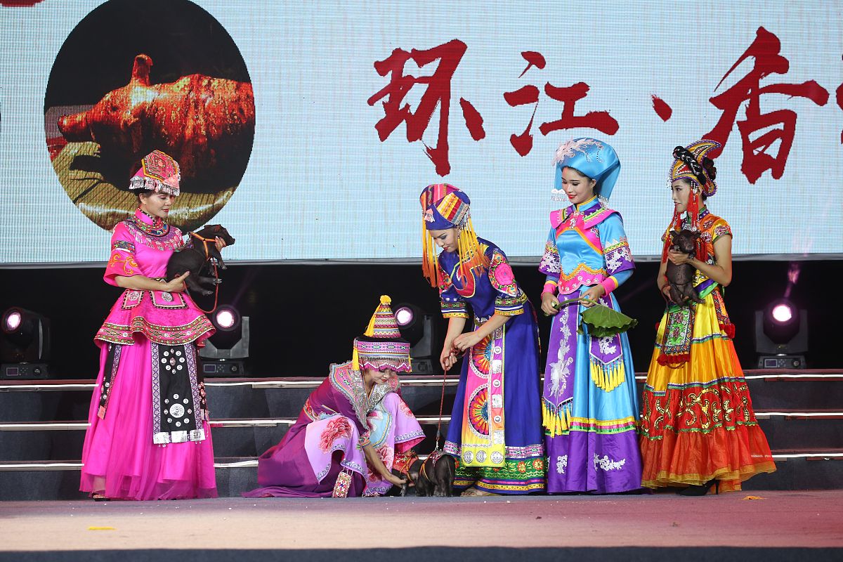 中国36个少数民族分布及特点 - 多元文化瑰宝