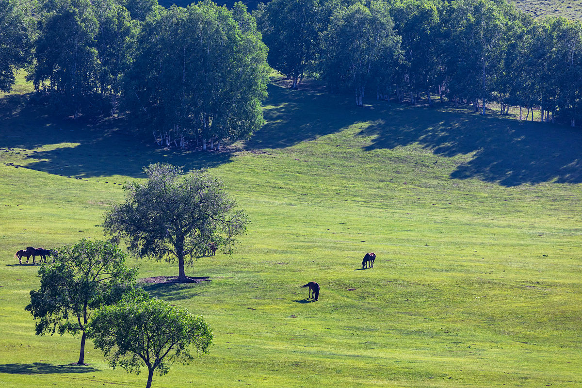 赤峰农牧学校2019招生简章