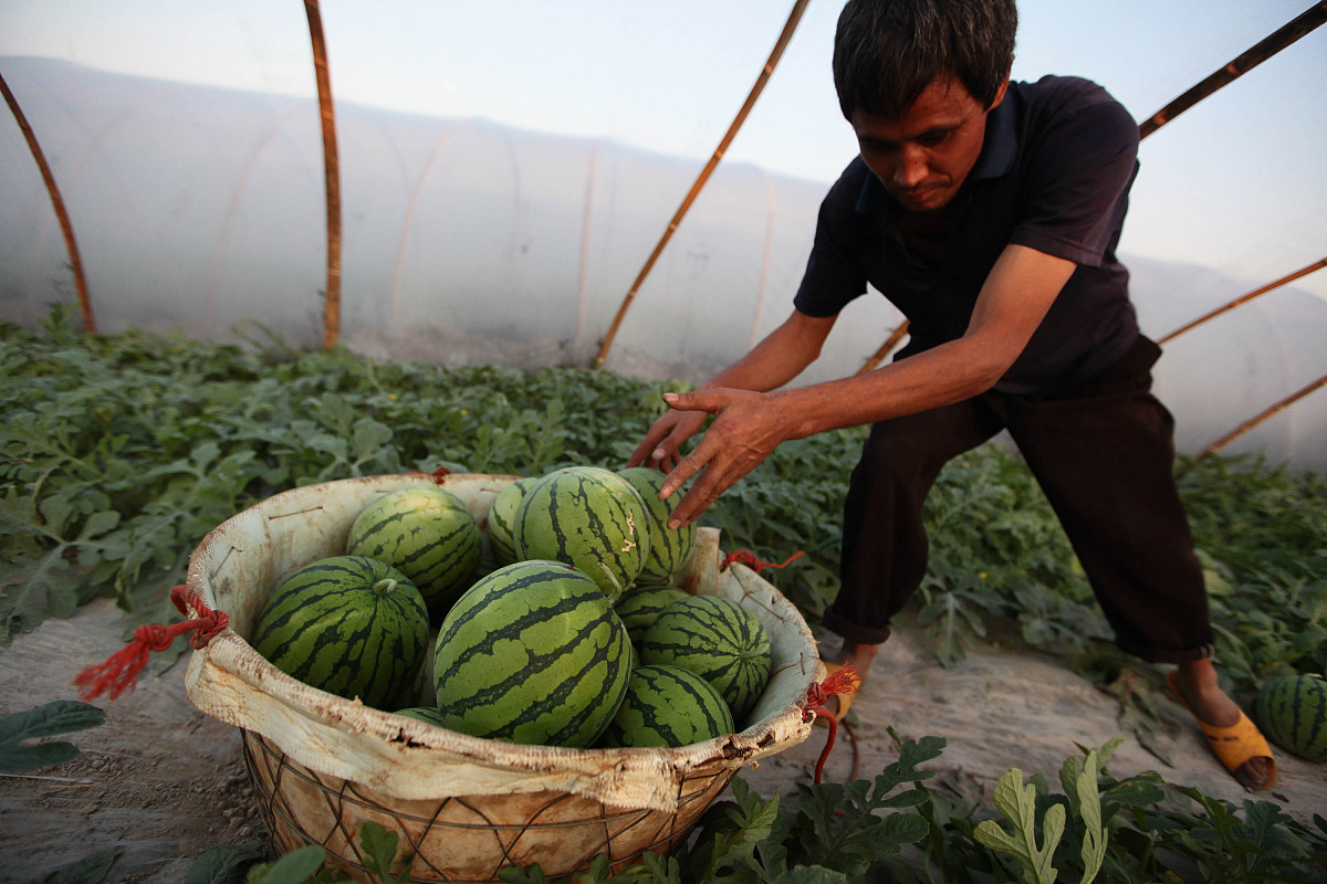 铜仁职业技术学院设施农业与装备专业怎么样？就业前景好吗？