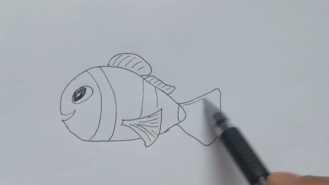 简笔画大全,漂亮的海底鱼