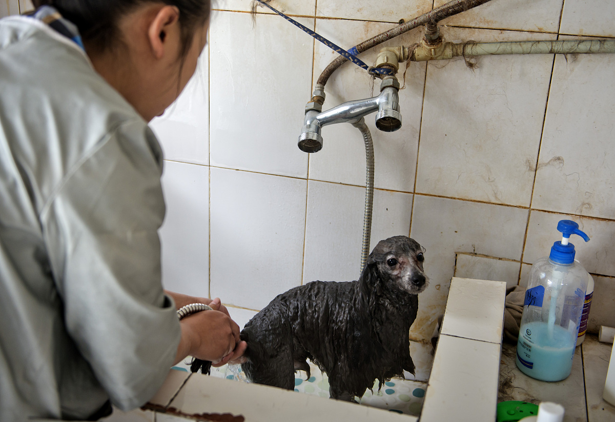 成都卫生学校护理学课程设置：培养优秀护理人才的摇篮