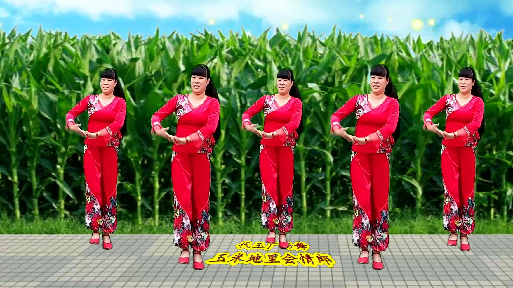 陕北民歌秧歌舞《玉米地里会情郎》一首肉麻情歌，好听好看