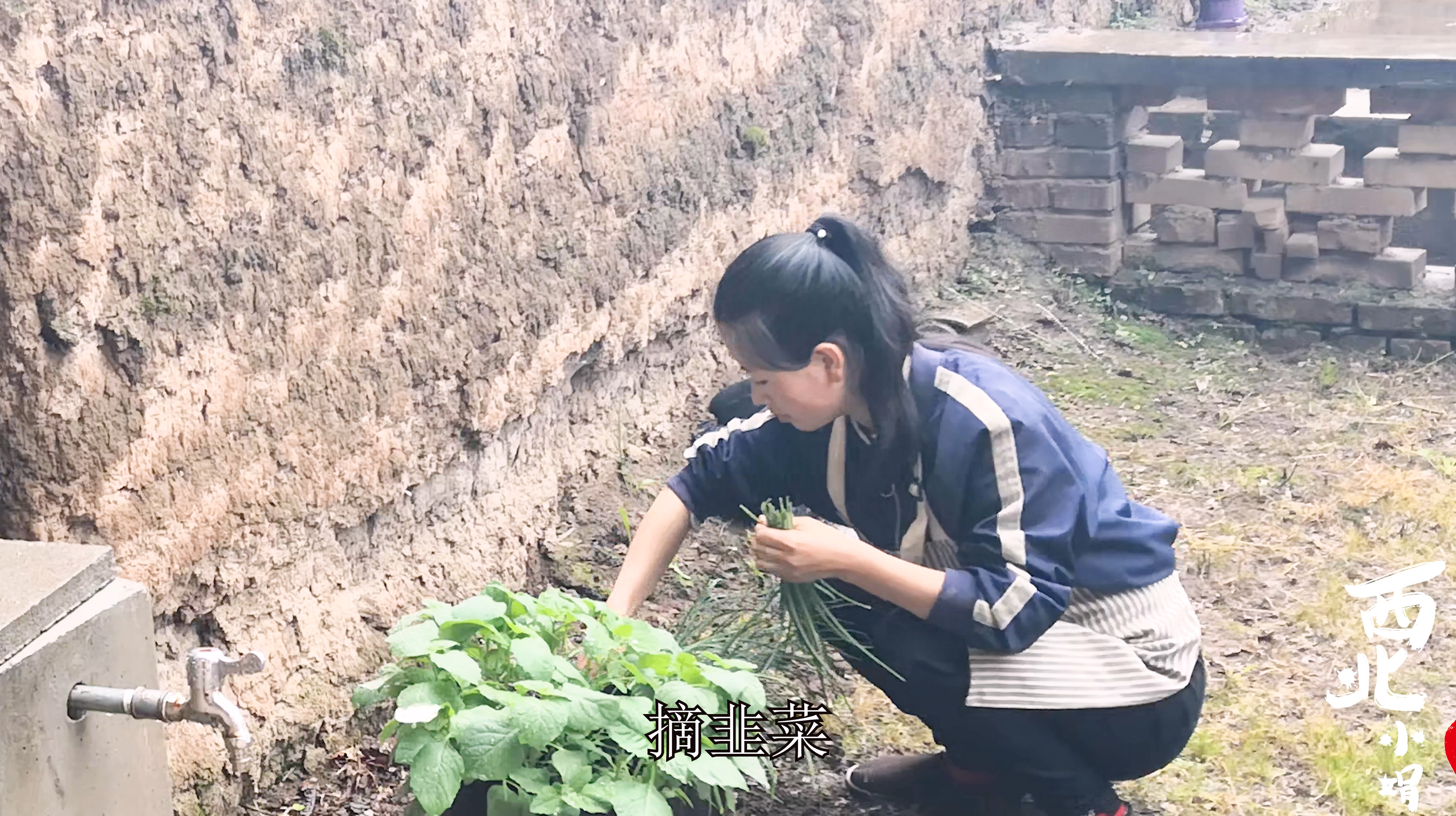 下雨天农民休息,妹子午饭做鸡蛋面,手擀的面条就是好吃