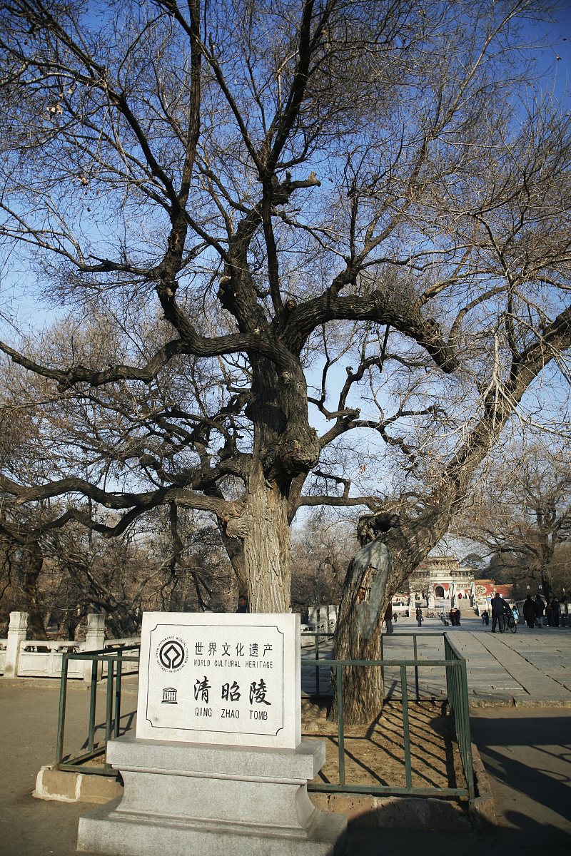 重庆人文艺术职业学校轨道交通专业学什么？就业前景如何？