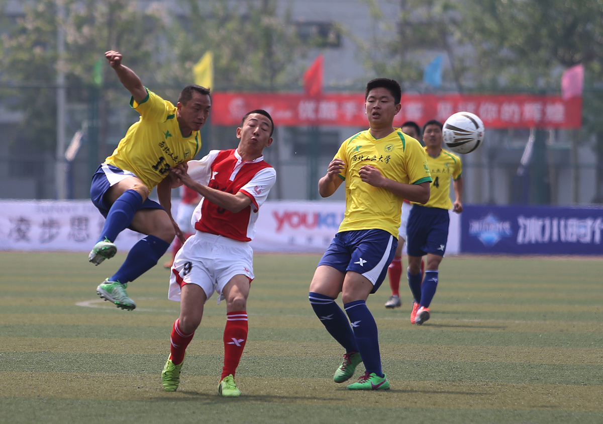 东北农业大学设施农业科学与工程专业前景：助力农业现代化发展