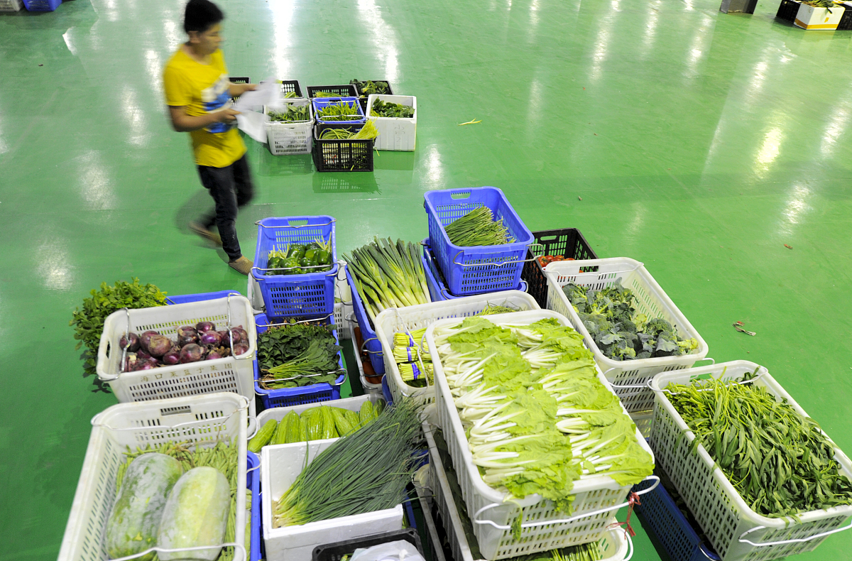 生鲜分拣技术：提高效率和质量的利器