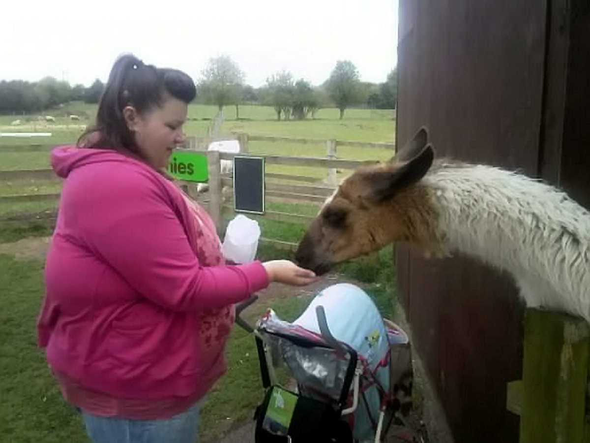 下定决心减肥，做孩子们的健康榜样！妈妈的减肥日记，记录蜕变的每一步！