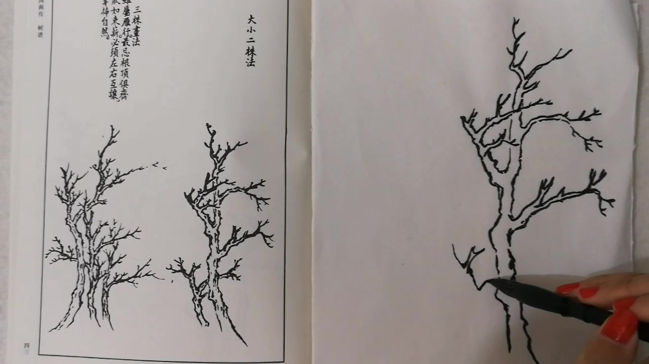 [图]国画练习:《芥子园画传》树谱,大小二株法