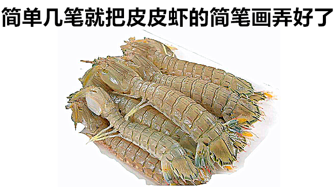 皮皮虾简笔画,皮皮虾我们走,简单一笔画好皮皮虾