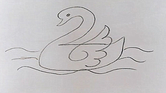 简笔画:简笔画天鹅,小朋友别看了,一起来画吧