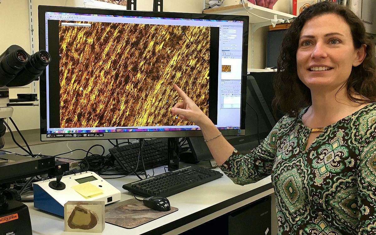而在我国之前所研发的高校学生信息管理系统大多为单机版的软件大大限制了数据的共享。在网络发达的今天这种不具有数据共享的系统已经不适合学校现有的需求。几年开发的网络版迎新系统大多采用CS结构这种系统要求在服务器和客户端安装相应的系统才能够使用软件使用前也需要设计好固定的界面用户基本不能对此更改不利于进行界面或后天功能的二次开发。在系统升级或修改是客户端和服务器也要进行相应的升级或修改导致工作量增加影响