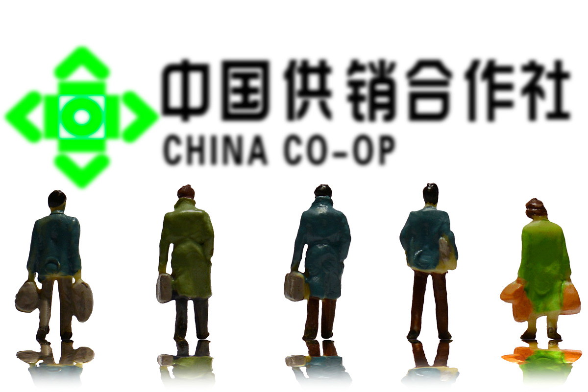 大理地区供销社线下商业项目运营策划方案：从市场调研到团队建设
