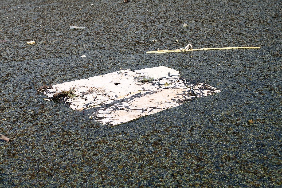 石家庄天旺环保科技有限公司：专注环境监测设备和解决方案