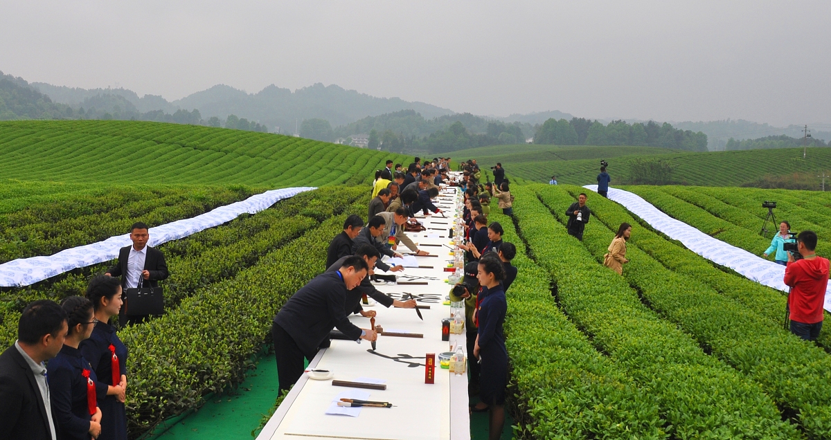 贵州省茶技术茶文化中等专业学校哪些专业好