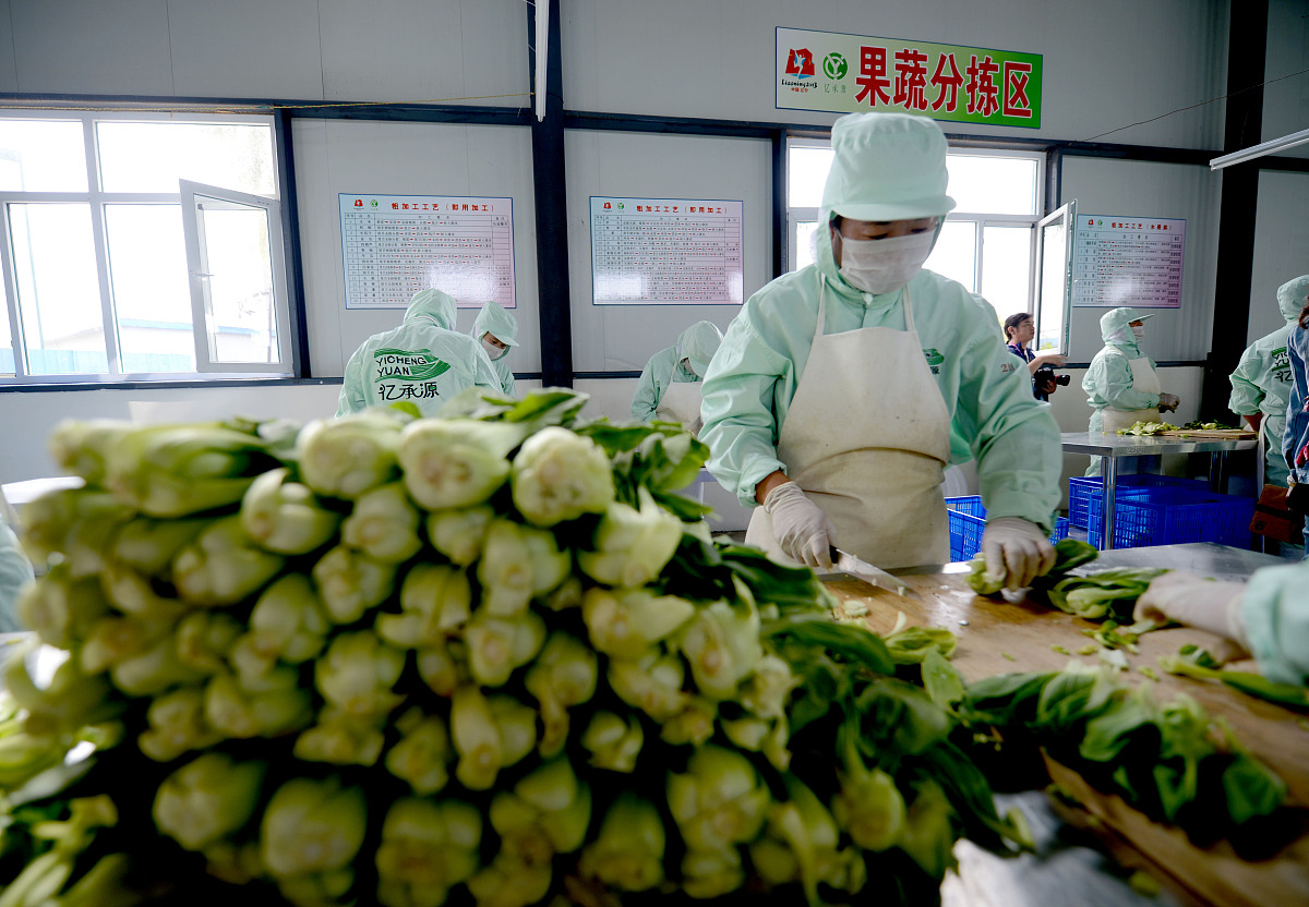 请对下面本科论文中的语句进行改写蔬菜是人们日常生活的最基本消费品直接关系到人们的身体健康和生活品质保障对人们过上绿色、高质量生活起到重要的支撑作用随着现代物流的快速发展蔬菜配送已日益成为城市居民消费的客观需要。蔬菜配送是将分散种植的农作物集中运送至各个大型连锁餐饮企业、超市服务和农贸市场这些客户方对于蔬菜产品温度控制的高标准促其不断完善冷链运输流程。因此本文选取