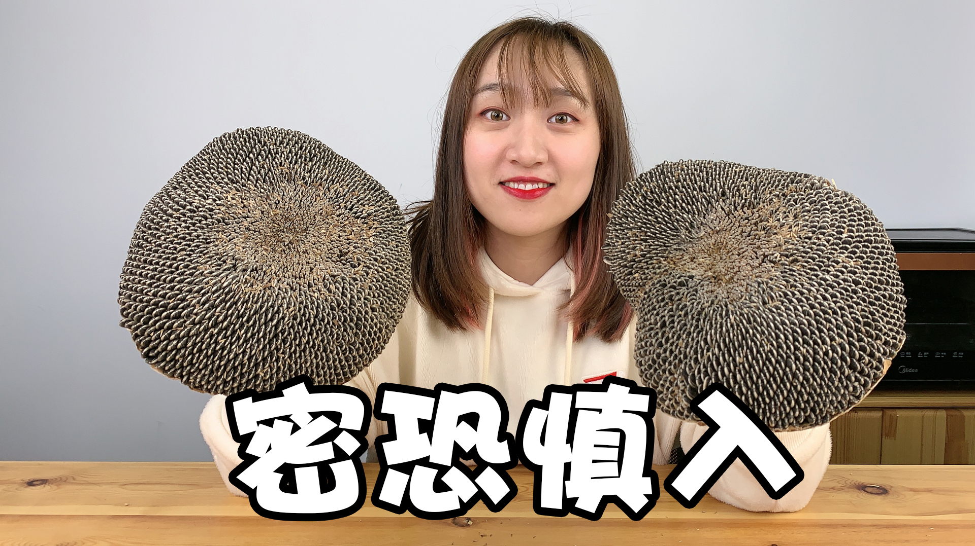 比脸盘子还大的“法器”,到底能拔多少果子?38元买2值吗?