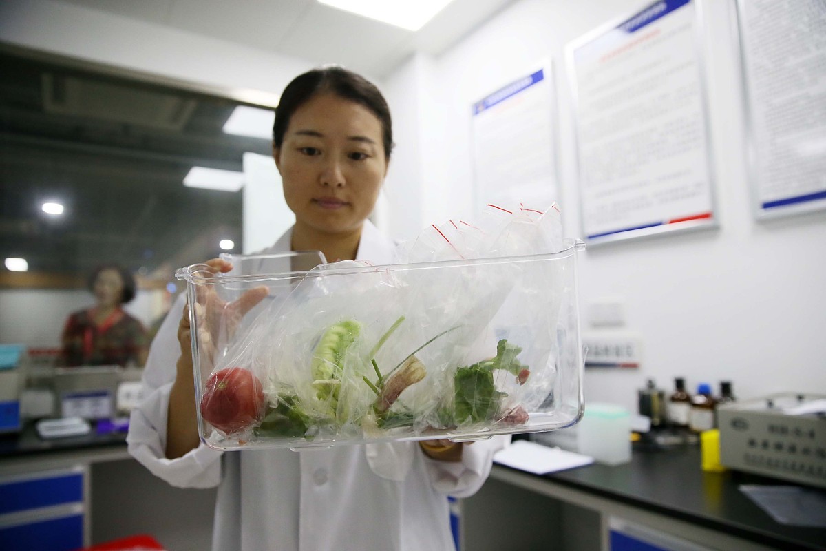 掌握植物标本的制作过程