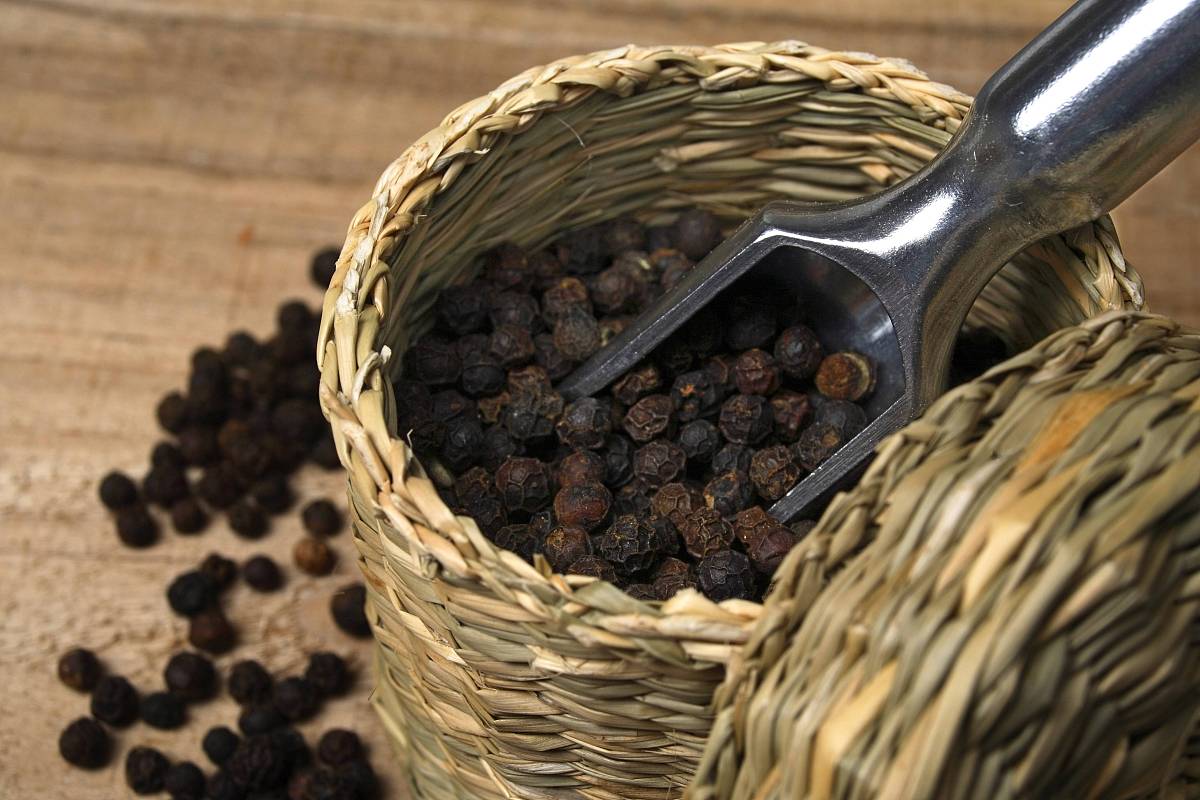 详细列出中国到欧洲的海底光缆